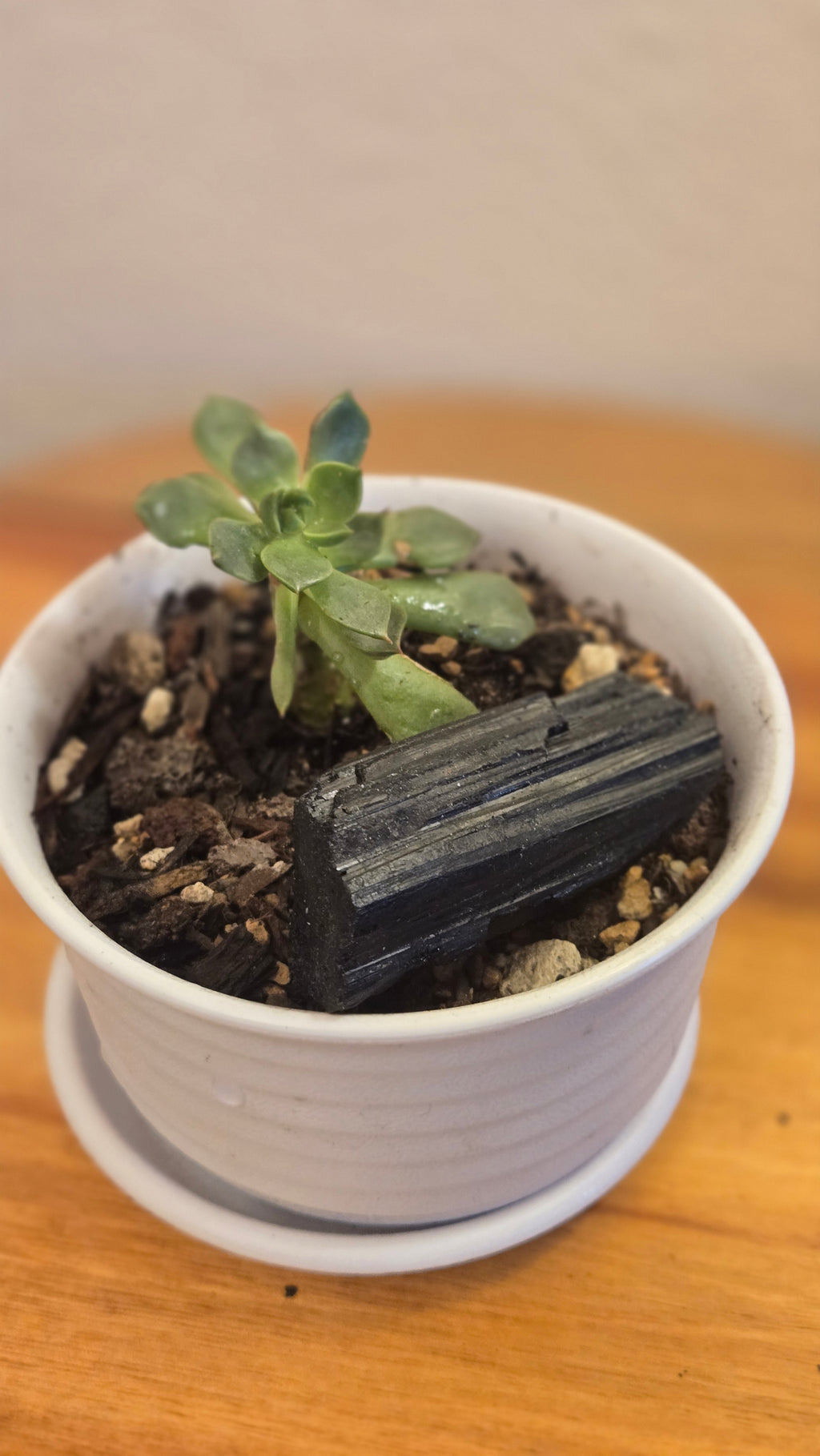 Black tourmaline