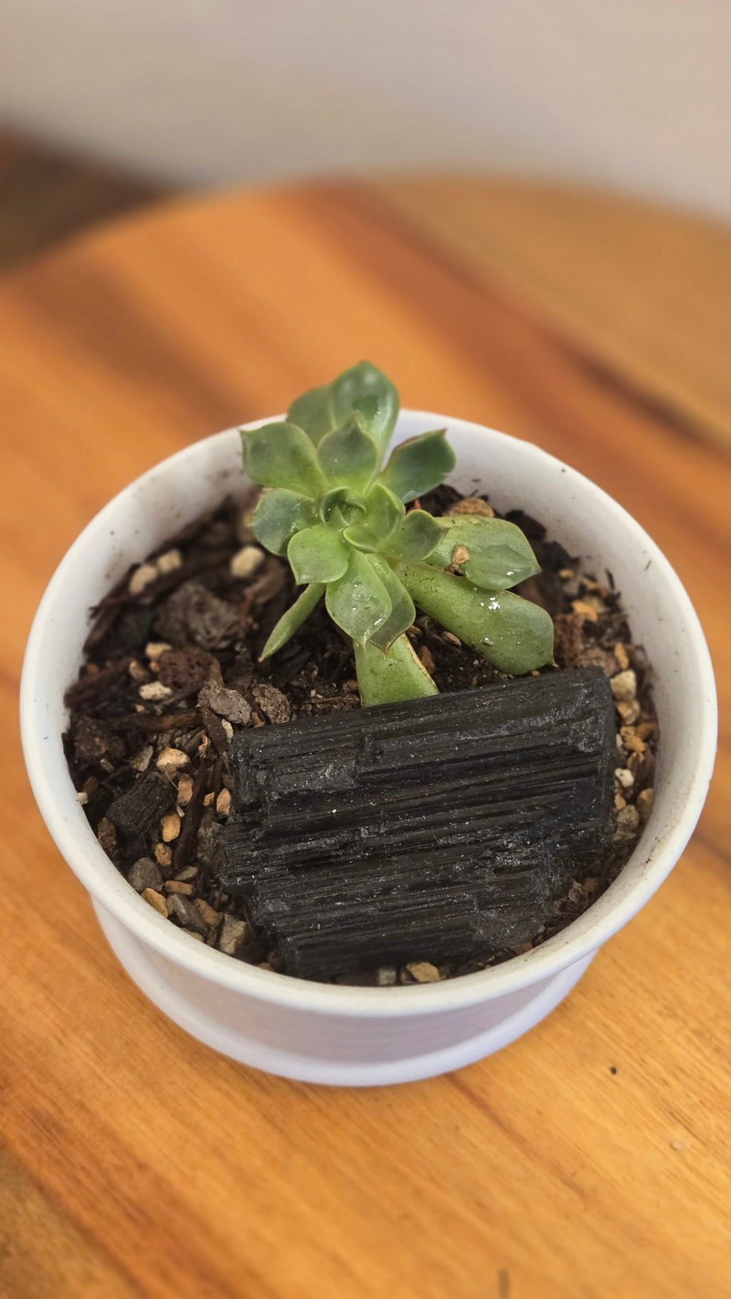 Black tourmaline