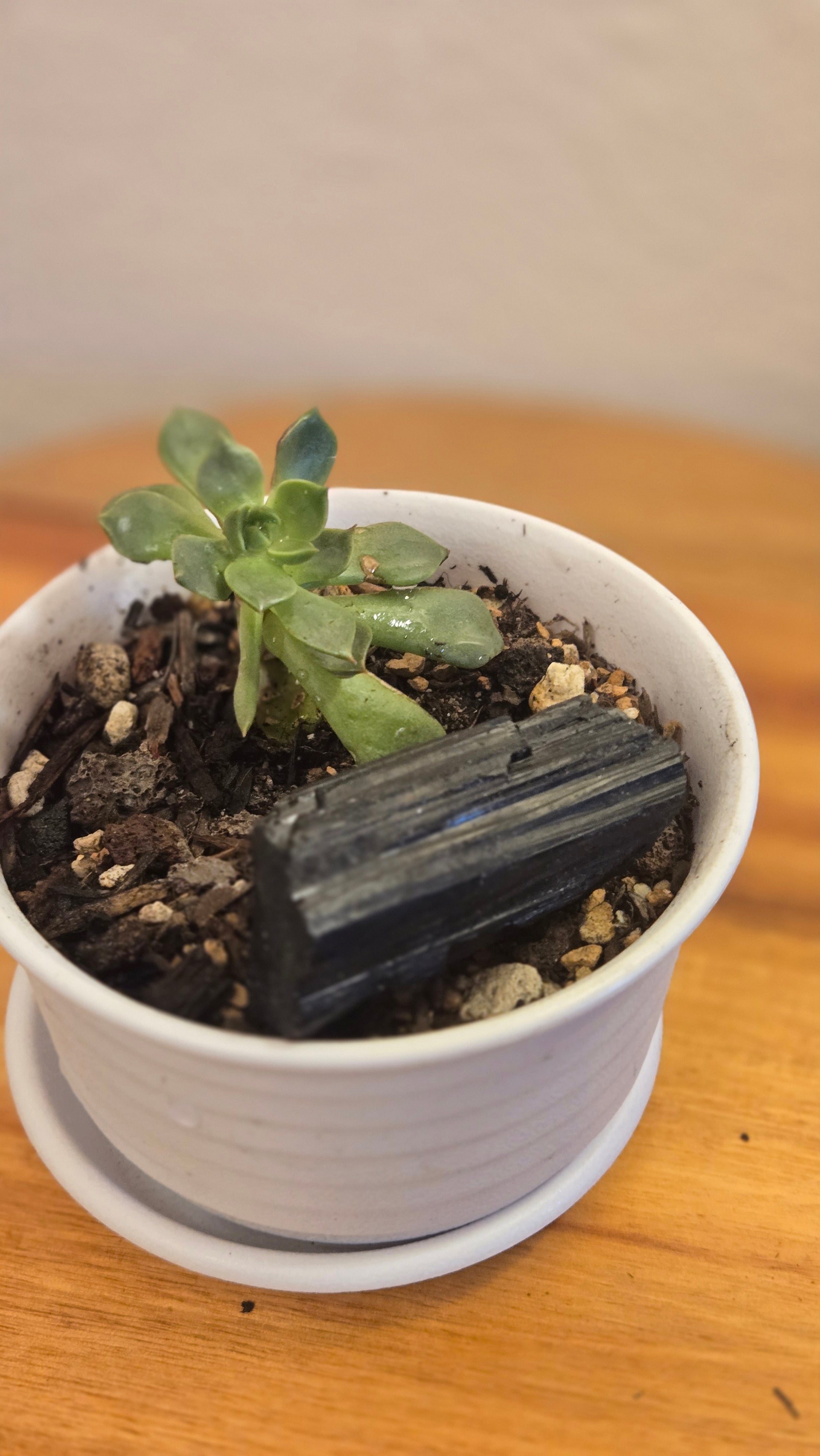 Black tourmaline