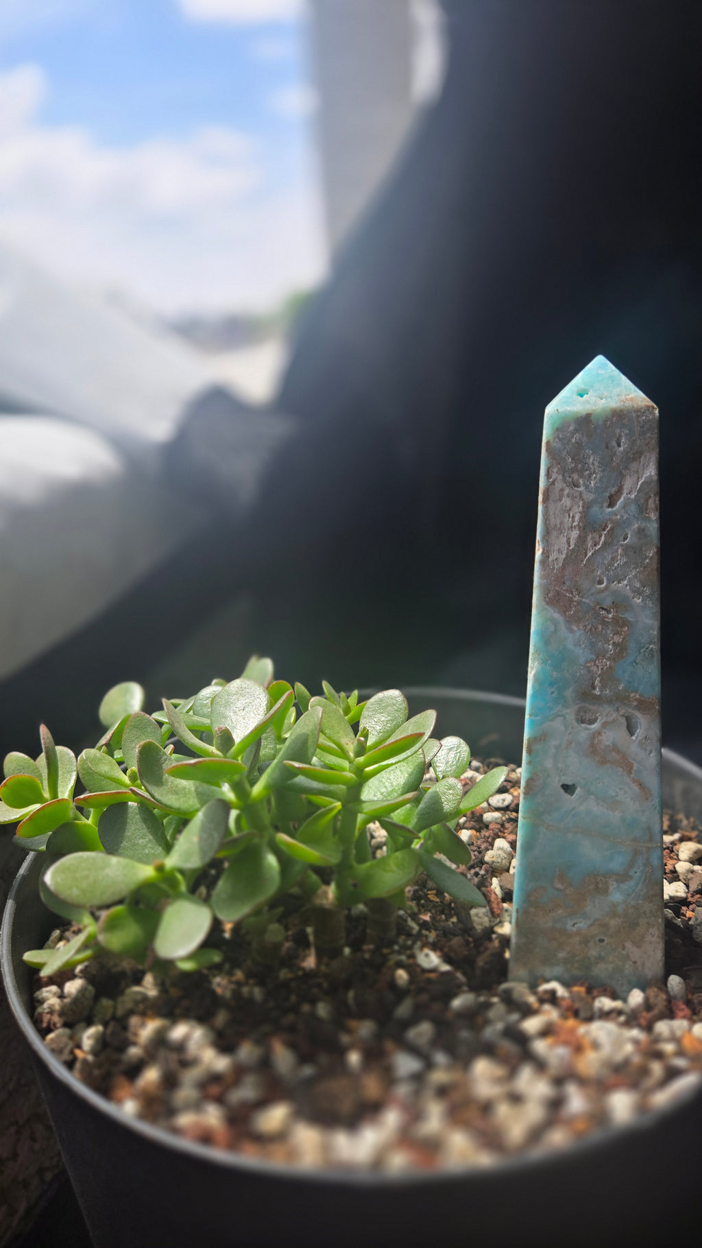 Caribbean Calcite