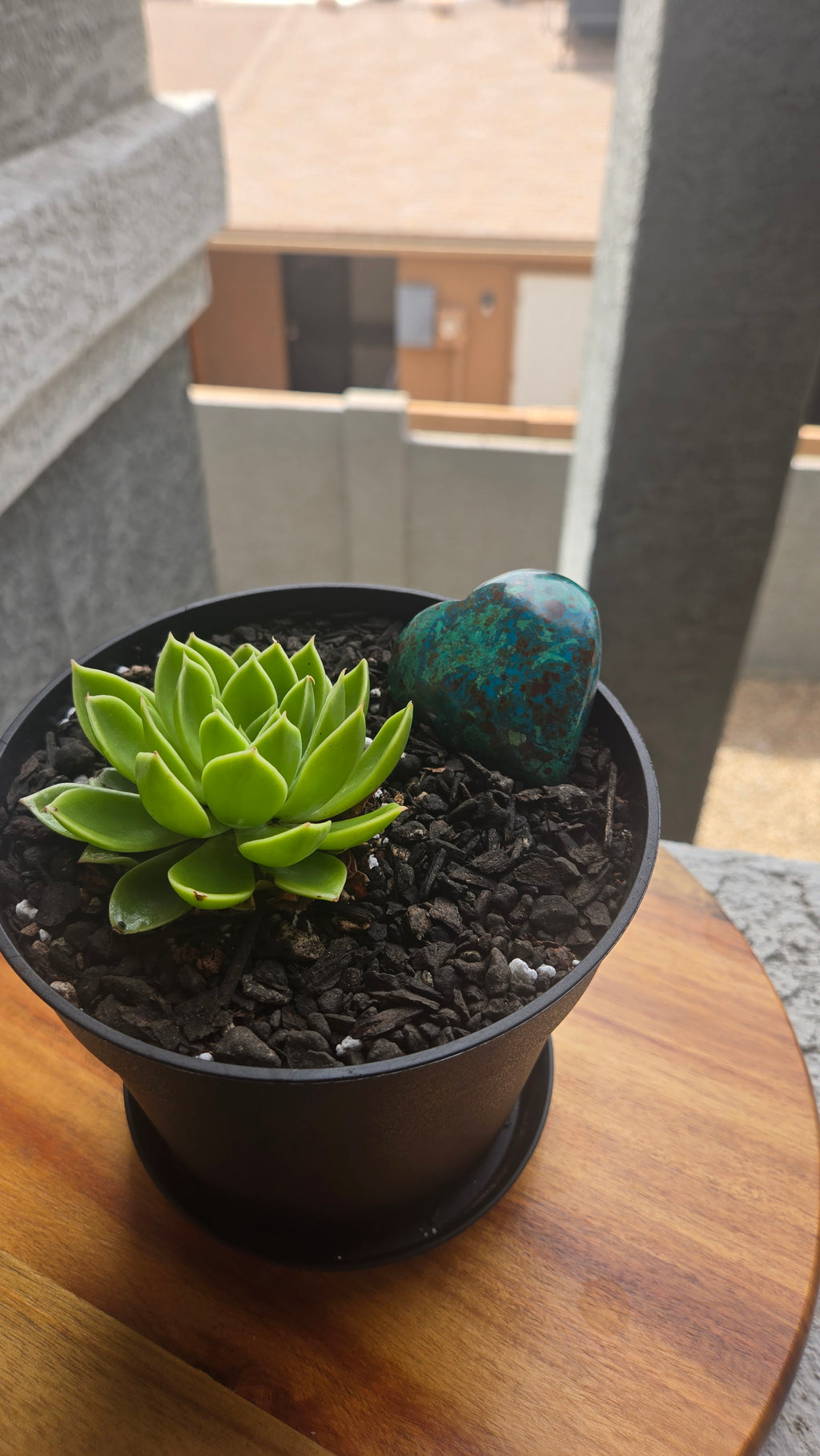 Chrysocolla