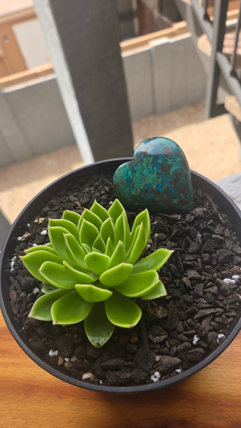 Chrysocolla
