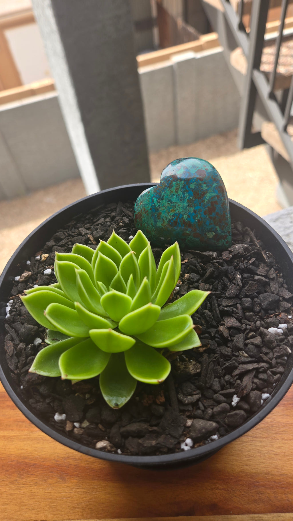 Chrysocolla