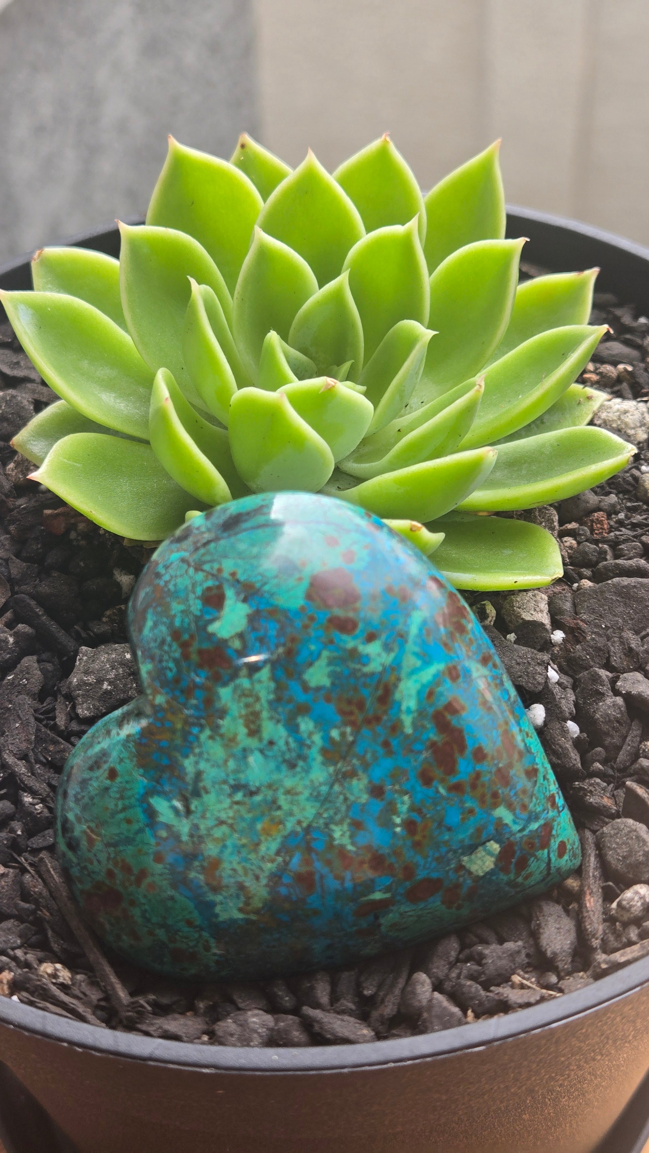 Chrysocolla