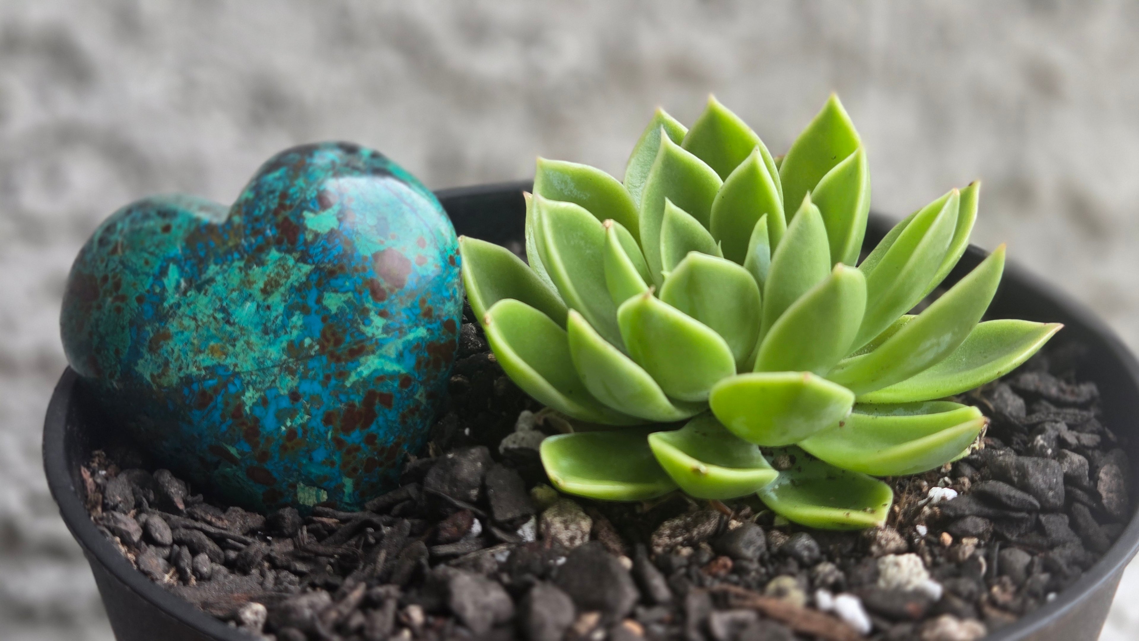 Chrysocolla