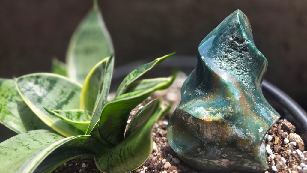 Ocean Jasper