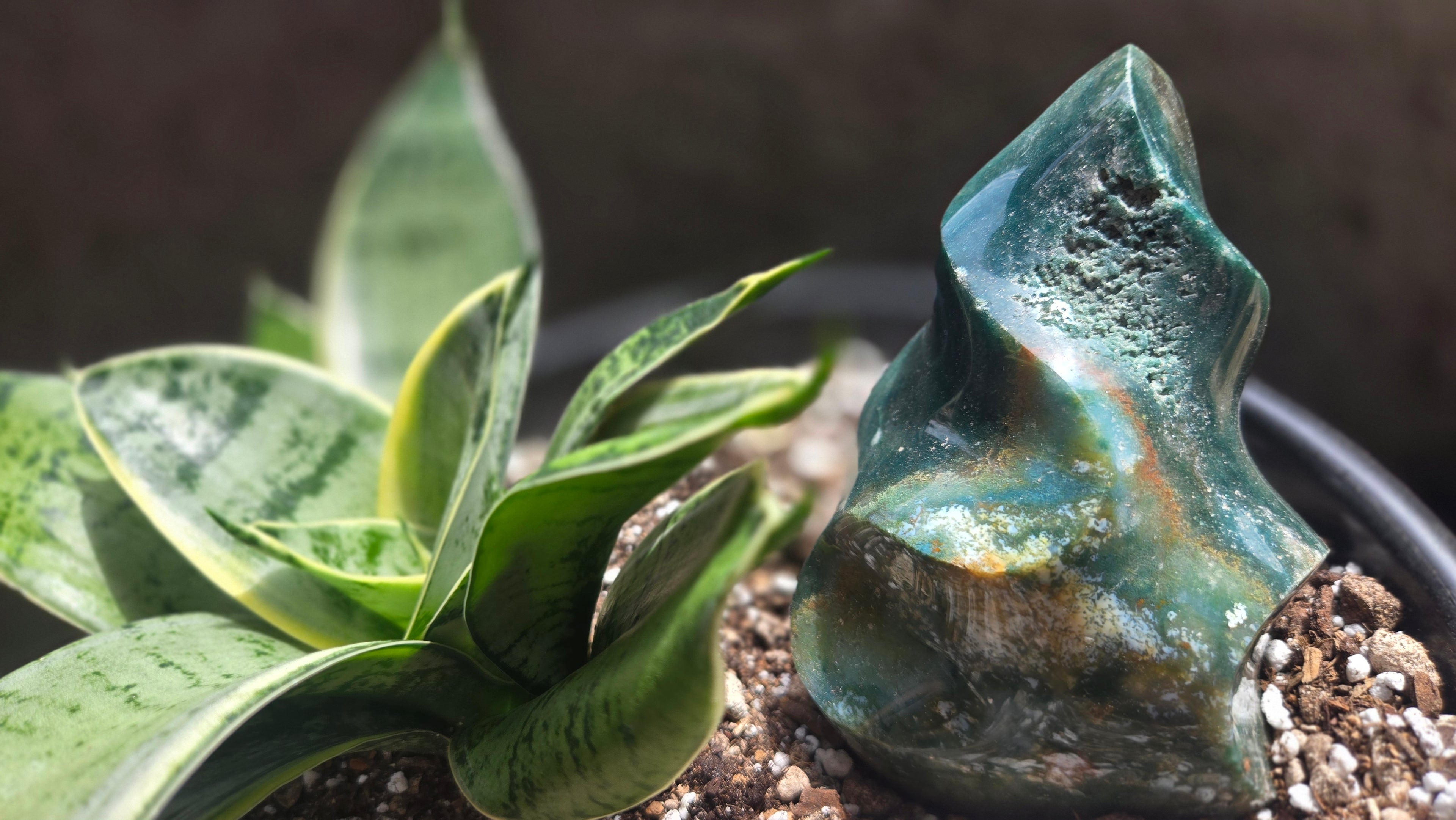 Ocean Jasper