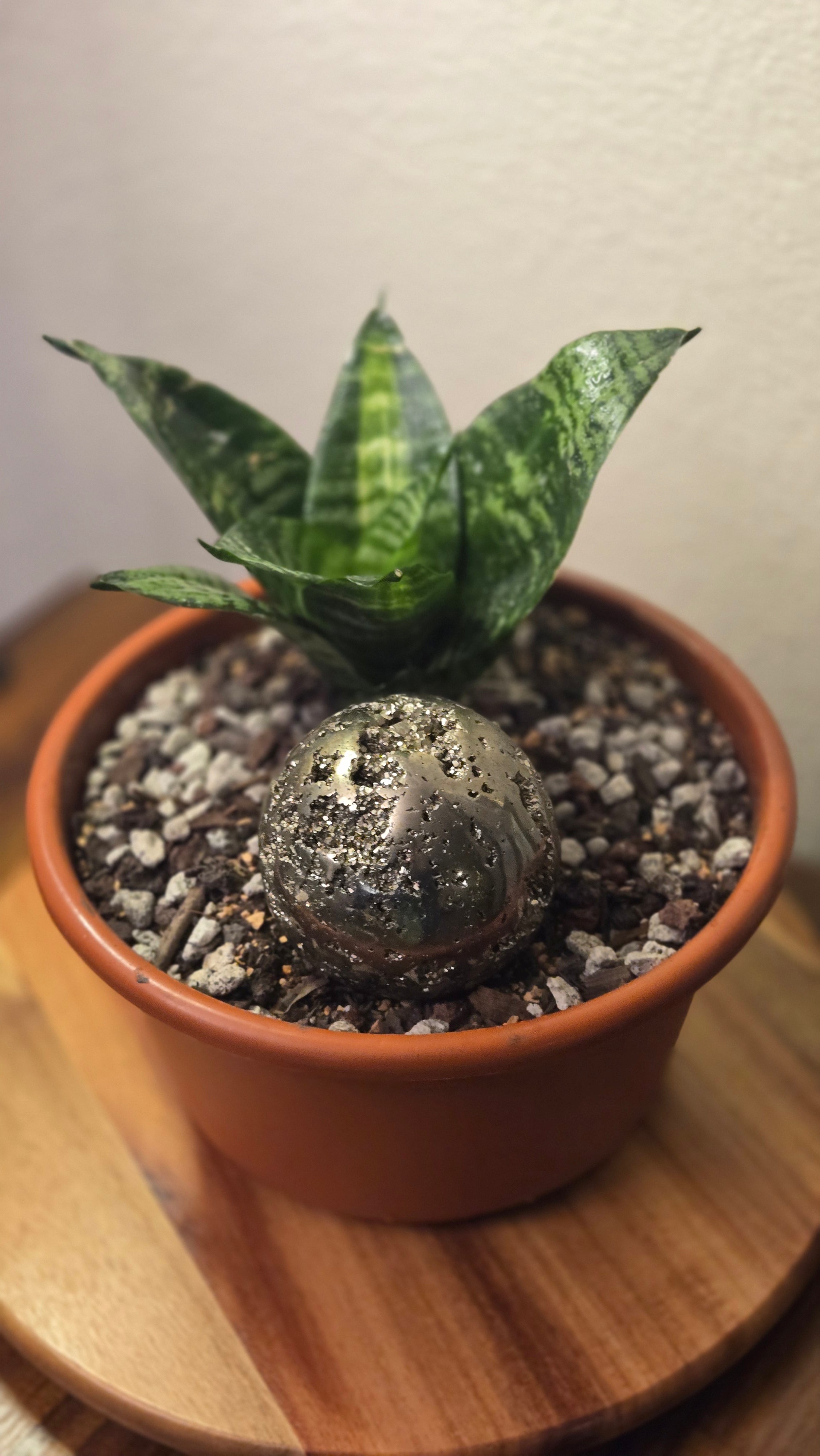 Pyrite