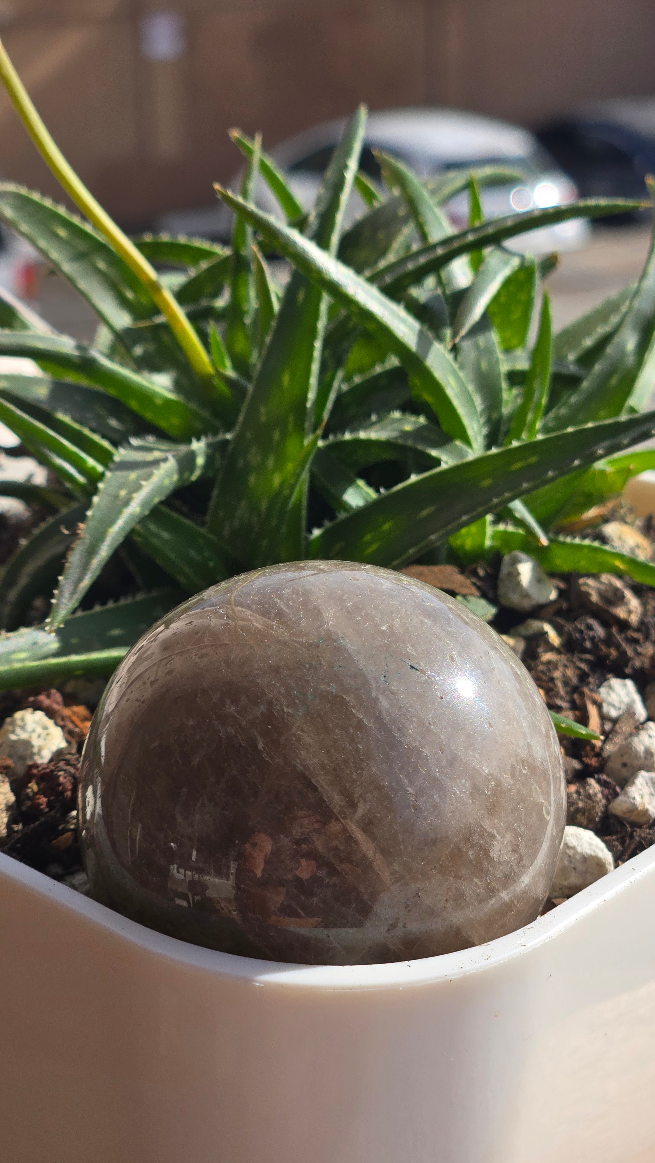Smokey Quartz