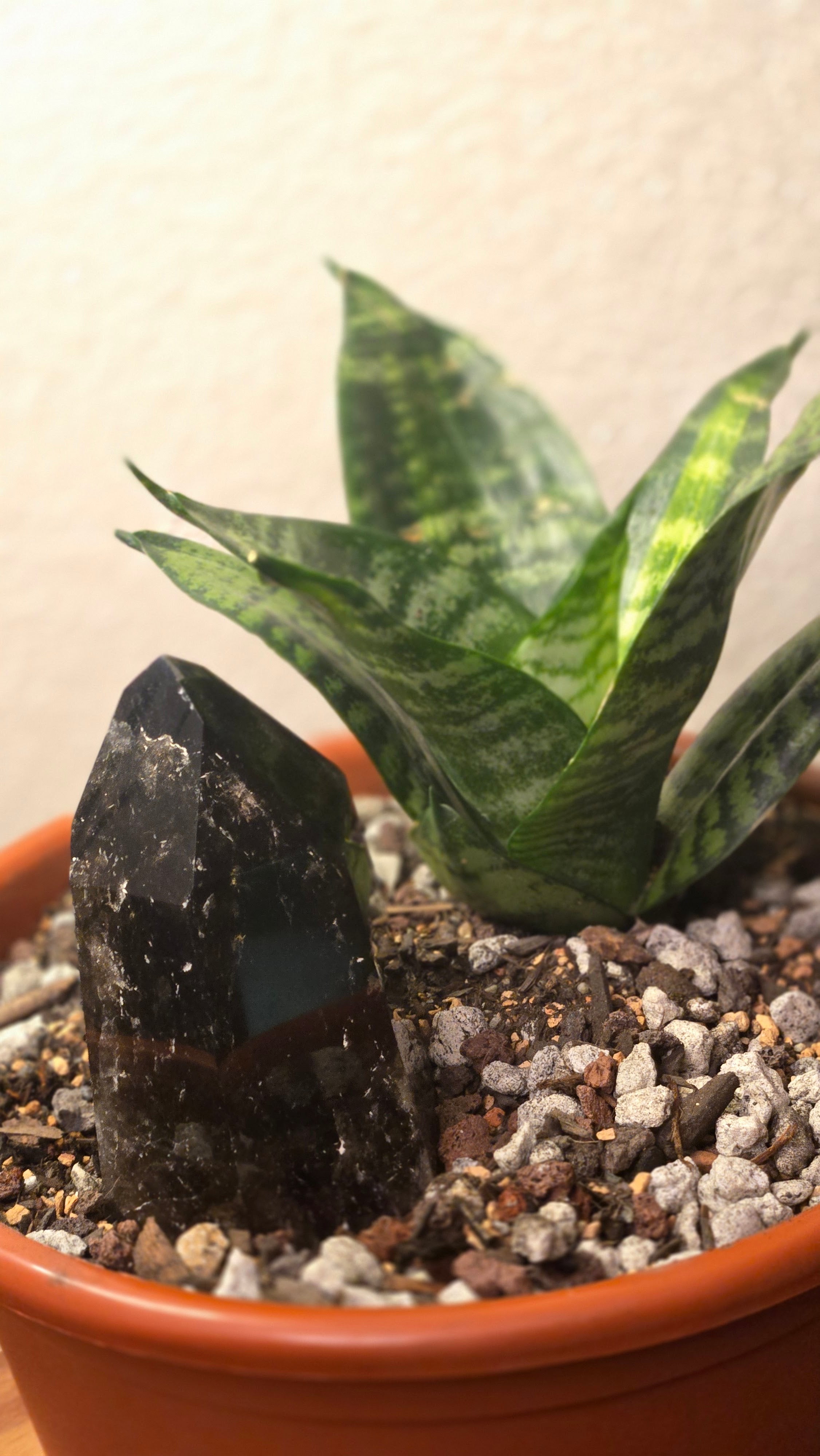 Smokey Quartz