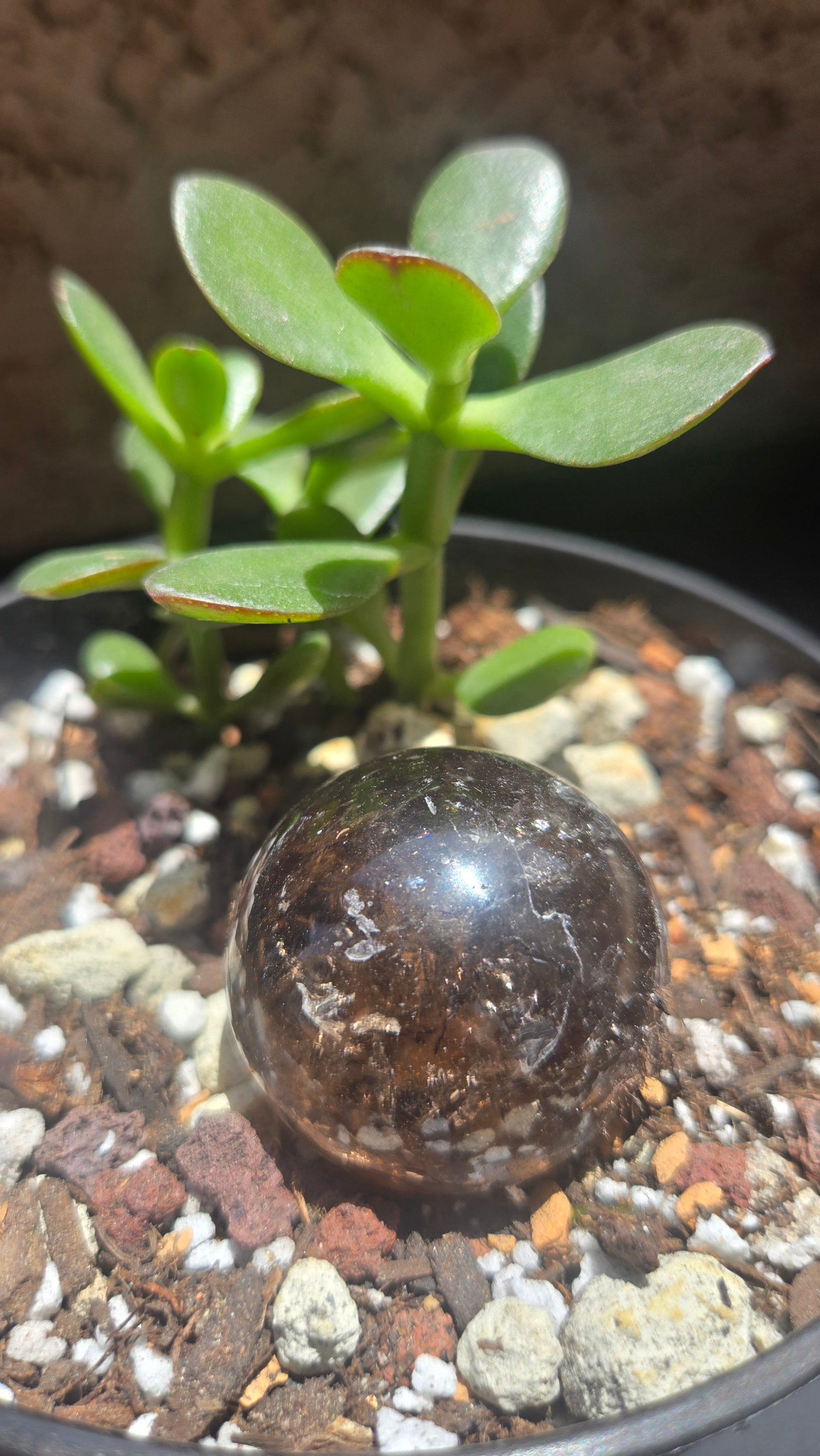 Smokey Quartz