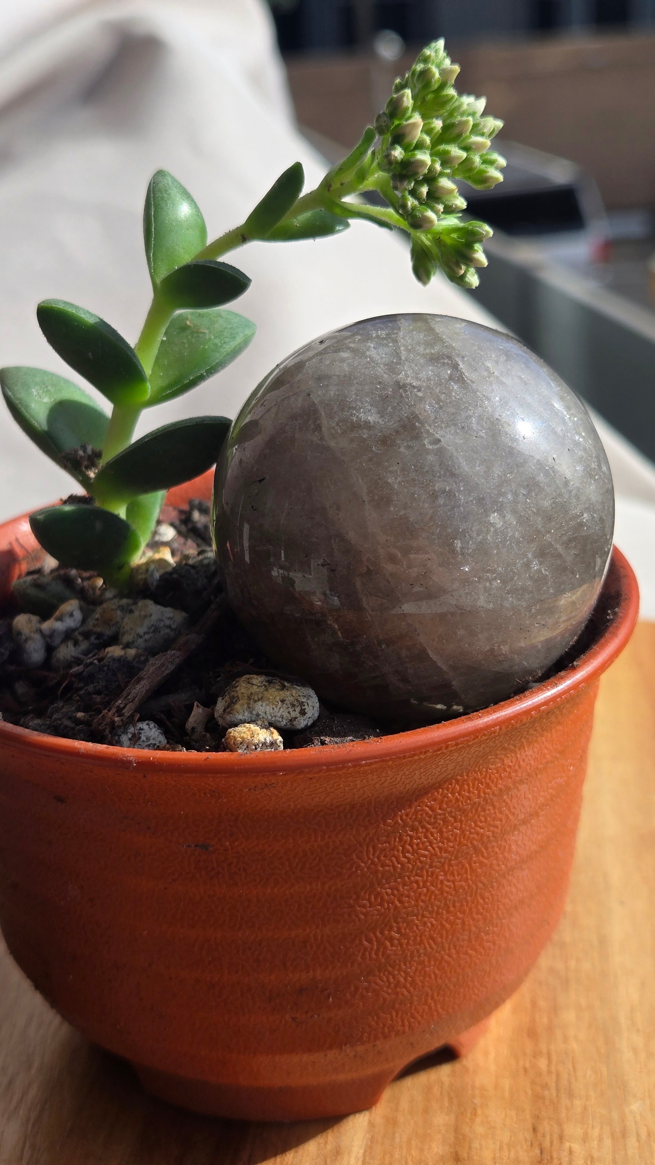 Smokey Quartz