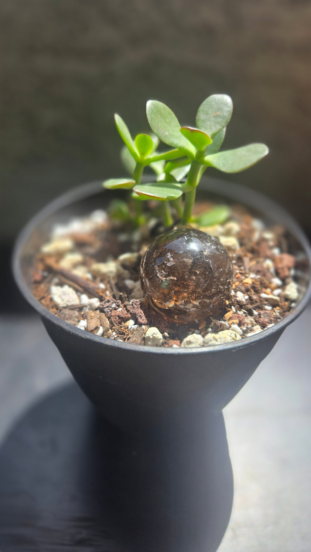 Smokey Quartz